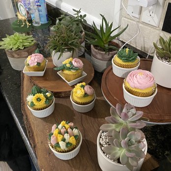 The Cupcake Experience - Succulent Cupcake Bar - Cupcakes Near Me