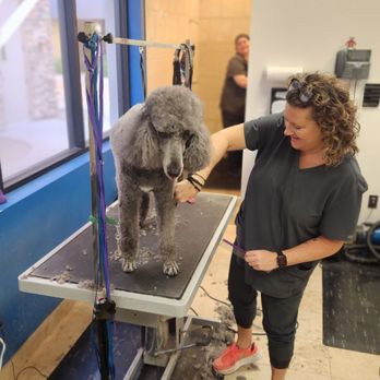 Dynamite Animal Hospital - Veterinarians Near Me - Scottsdale, Arizona