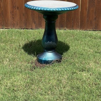 Texas Bird Bath: Ultimate Guide to Attract Wildlife & Beautify Yard