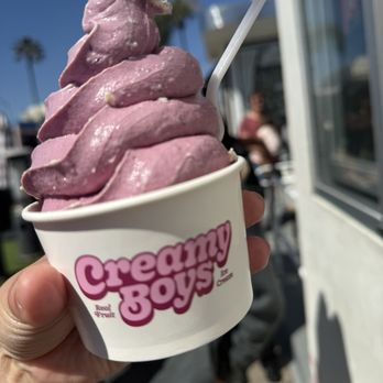 Creamy Boys - Berry non dairy - Ice Cream & Frozen Yogurt Near Me - Hermosa Beach, California