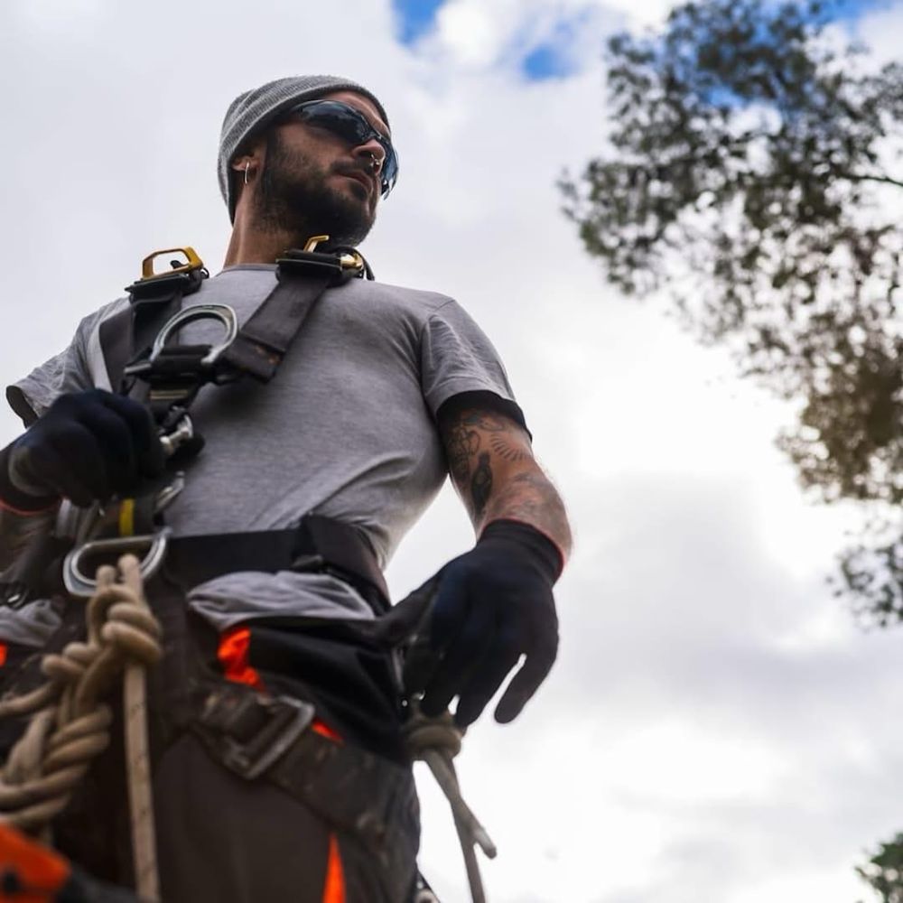 Spears Tree Service - tree service in Plymouth, MI