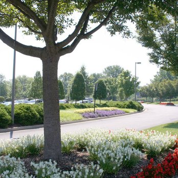 James River Grounds Management - a flower bed in front of a tree - Landscaping Near Me - Glen Allen, Virginia James River Grounds Management - a flower bed in front of a tree - Landscaping Near Me - Glen Allen, Virginia
