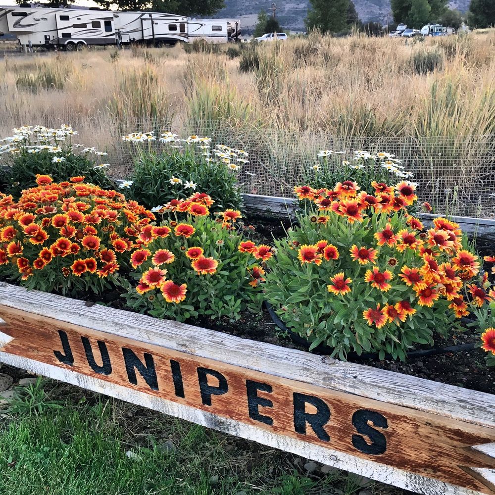 Junipers Reservoir Rv Resort - Campgrounds Near Me - Lakeview, Oregon Junipers Reservoir Rv Resort - Campgrounds Near Me - Lakeview, Oregon