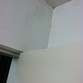 Jackson Lake Lodge - Mold on drywall - end-unit cottage - Hotels Near Me - Moran, Wyoming Jackson Lake Lodge - Mold on drywall - end-unit cottage - Hotels Near Me - Moran, Wyoming
