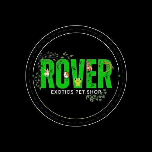 Rover Image