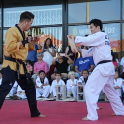 Tiger Kim Tae Kwon Do