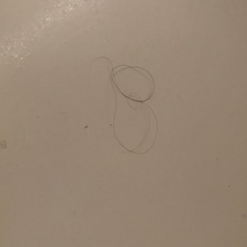 Hilton Virginia Beach Oceanfront - Gross hair in my tub to keep the dead bug company! - Hotels Near Me - Virginia Beach, Virginia Hilton Virginia Beach Oceanfront - Gross hair in my tub to keep the dead bug company! - Hotels Near Me - Virginia Beach, Virginia
