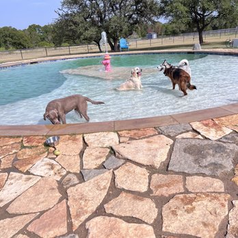 JUMPING JACK DOG RANCH - Updated October 2025 - 84 Photos & 52 Reviews