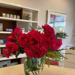 Dr. Patricia S. Fink