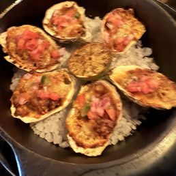 Oysters Oysters