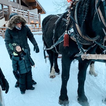 Boulder Mountain Ranch at Deer Valley - Horseback Riding Near Me