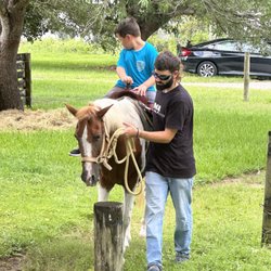 Allegria Learning and Arts Center - Fieldtrip to Little Farm (Summer Camp)