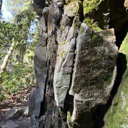 Colditz Cove Nature Area
