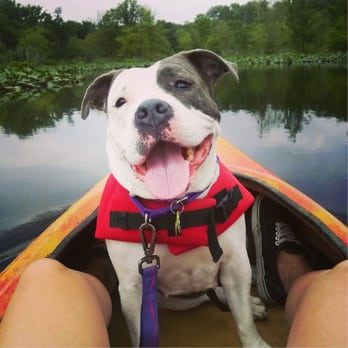 Tuckahoe State Park - My pup in the front of the tandem kayak. Plenty of room! $15 for two hour rental. - Parks Near Me - Queen Anne, Maryland Tuckahoe State Park - My pup in the front of the tandem kayak. Plenty of room! $15 for two hour rental. - Parks Near Me - Queen Anne, Maryland