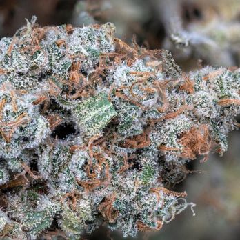 Elevate Maine Weed Dispensary Yarmouth - Cannabis Clinics Near Me - Yarmouth, Maine