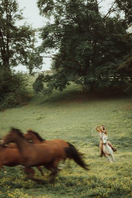 Seattle Farm by null