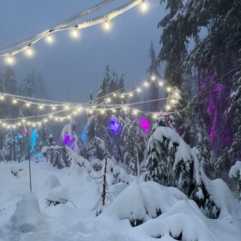 Cypress Mountain - Lights to the Lodge - snowshoeing. - Ski Resorts Near Me - West Vancouver, British Columbia
