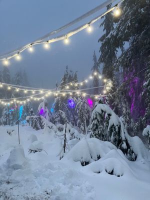 Cypress Mountain by null