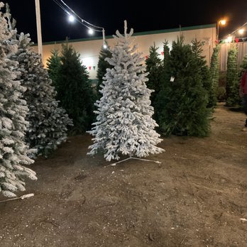KLM Tree Farm - Christmas Trees Near Me KLM Tree Farm - Christmas Trees Near Me