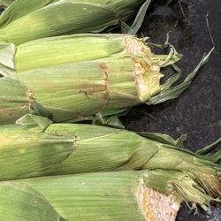 My Dad's Sweet Corn - Corn with cut off ends.