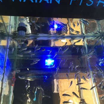 Wayan - Man-Eaters ! - Concept Shops Near Me - Playa del Carmen, ROO