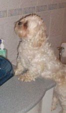 Slide of Accurate Plumbing Doctors