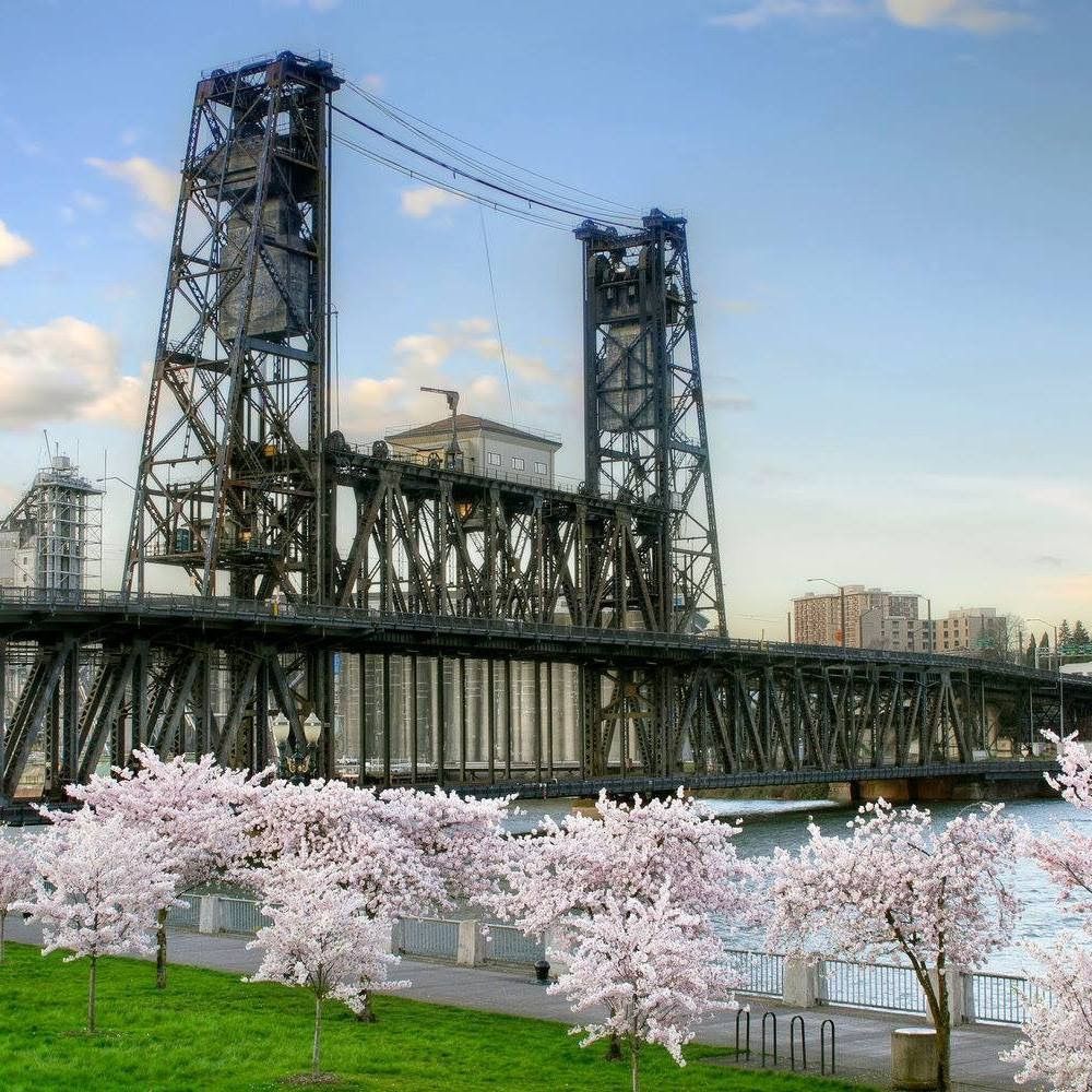 Bridge City Therapy - child therapist in Portland, OR