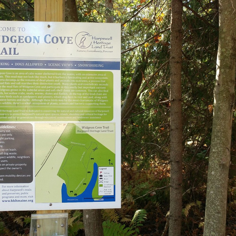 Widgeon Cove Trail - Information on Widgeon Cove Trail. - Hiking Near Me - Harpswell, Maine Widgeon Cove Trail - Information on Widgeon Cove Trail. - Hiking Near Me - Harpswell, Maine