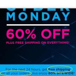 Classic Accessories - This was their Cyber Monday promo email