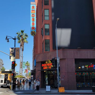 Amoeba Music by null