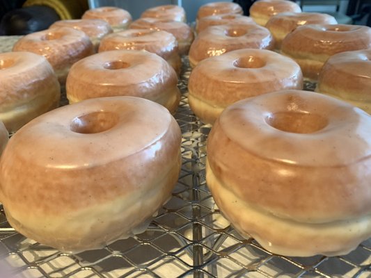 Max'd Out Donuts by null