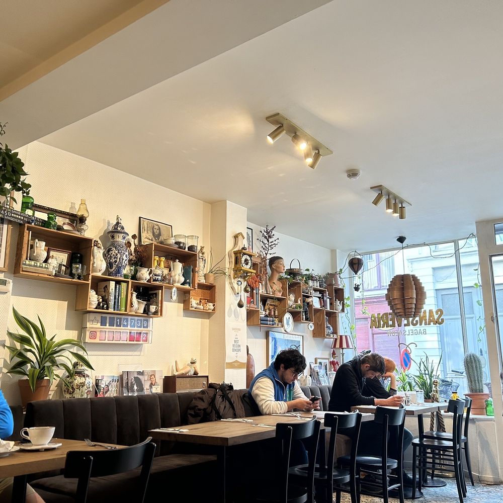 Sanseveria - Bagels Near Me - Bruges, VWV Sanseveria - Bagels Near Me - Bruges, VWV