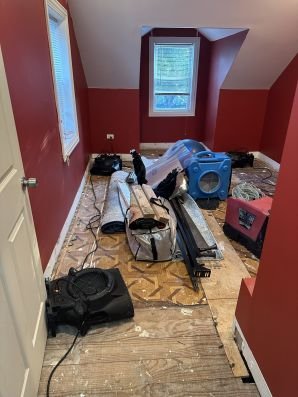 Slide of Whole House Cleaning and Restoration