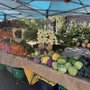 Steamboat Springs Farmers Market