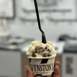 Wynston’s Ice Cream - Mint Chocolate Chunk