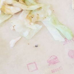 Chip of metal in my chicken chalupa Chip of metal in my chicken chalupa