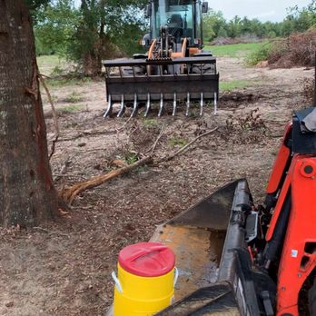 MF Service Group - Tree Services Near Me - Haines City, Florida MF Service Group - Tree Services Near Me - Haines City, Florida