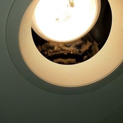 Residence Inn Fort Lauderdale Pompano Beach/Oceanfront - Broken light fixer