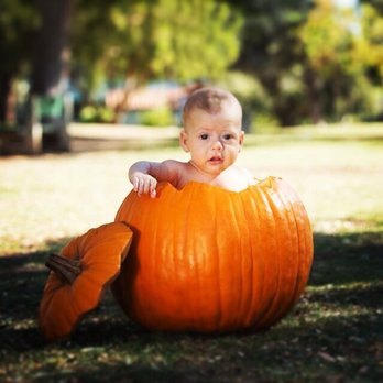 Elizabeth Dixon Photography - Our little pumpkin - Session Photography Near Me