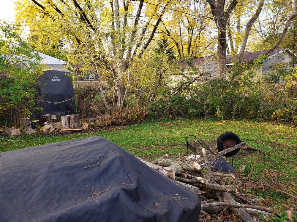 BELLA TREE SERVICES Updated September 2024 13 Reviews Aurora