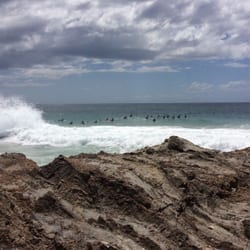 Snapper Rocks - A whale is less than 50 metres from the board riders.