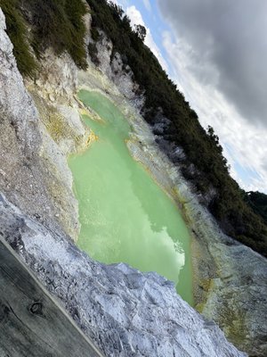Waiotapu Thermal Wonderland by null