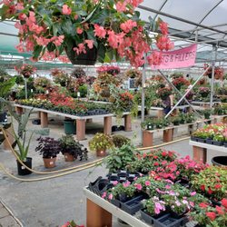 Baker's Acres Greenhouse