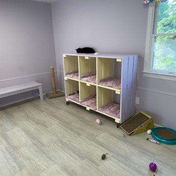 Happy Cat Sanctuary - Animal Shelters Near Me Happy Cat Sanctuary - Animal Shelters Near Me