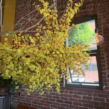 Saigonese Cafe - Looks like if Big Bird from Sesame Street is getting shredded - Cafes Near Me - San Francisco, California Saigonese Cafe - Looks like if Big Bird from Sesame Street is getting shredded - Cafes Near Me - San Francisco, California