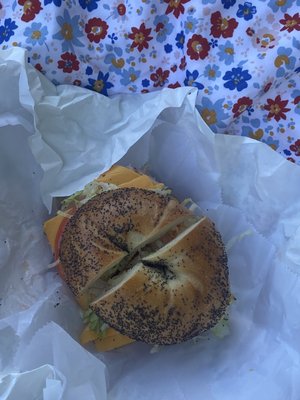 Terrace Bagels by null