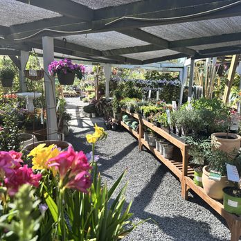 Sloat Garden Center - Nurseries & Gardening Near Me - Petaluma, California Sloat Garden Center - Nurseries & Gardening Near Me - Petaluma, California