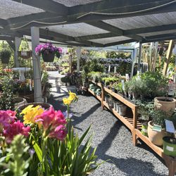 Sloat Garden Center