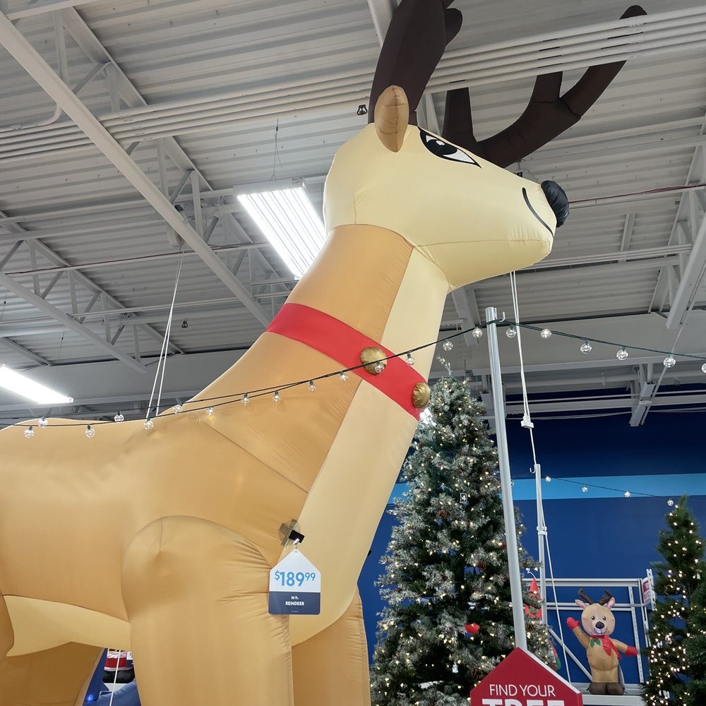At Home - GIANT inflatable reindeer for those of you who hate your neighbors. - Furniture Stores Near Me - Manchester, Connecticut