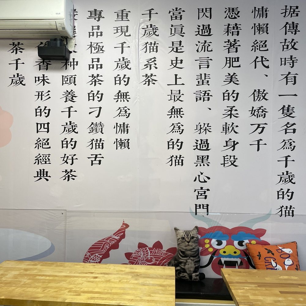 Timeless Tea - Bubble Tea Near Me - Bellevue, Washington